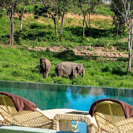 Wild Cottages Elephant Sanctuary Resort 苏梅岛 外观 照片