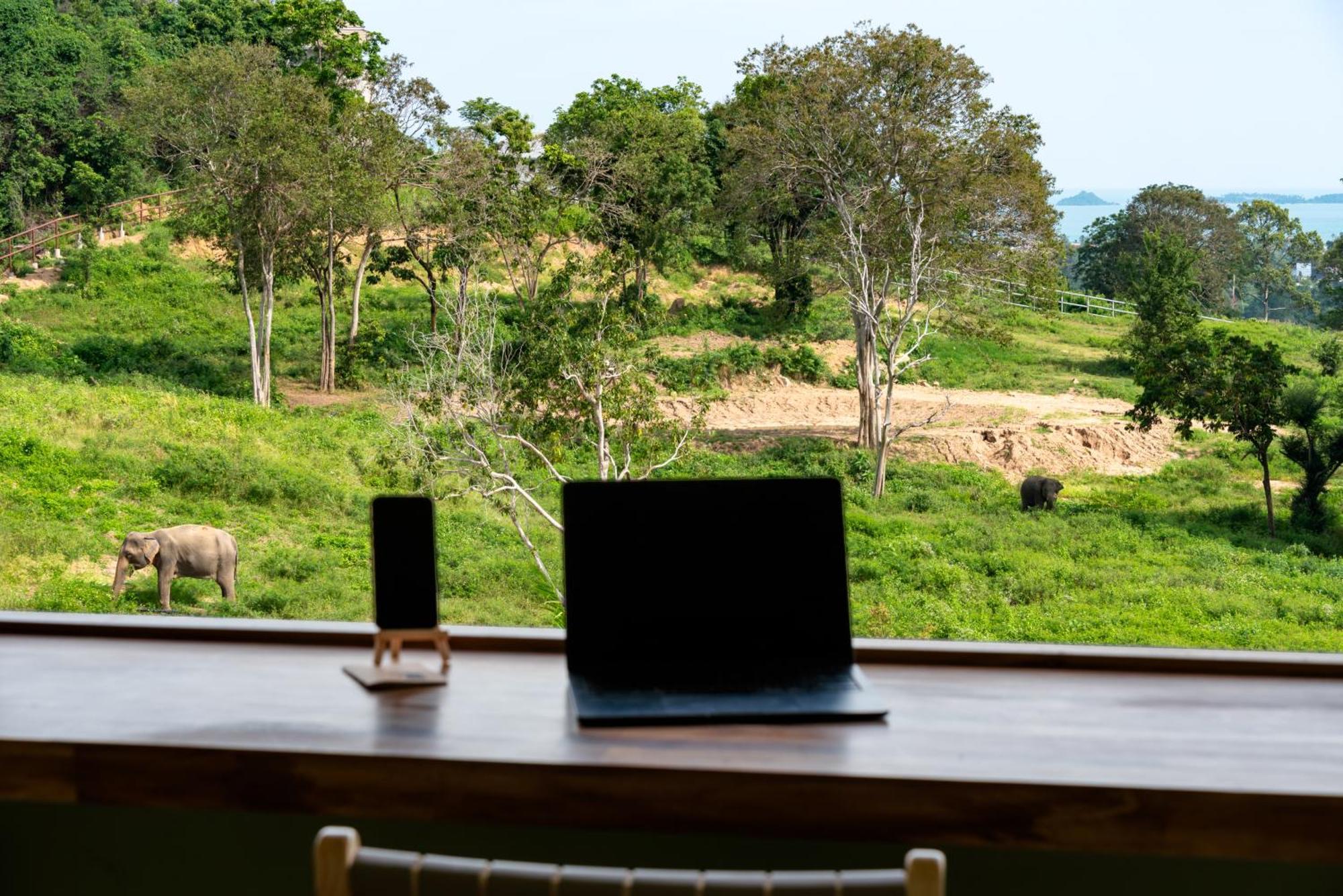 Wild Cottages Elephant Sanctuary Resort 苏梅岛 外观 照片