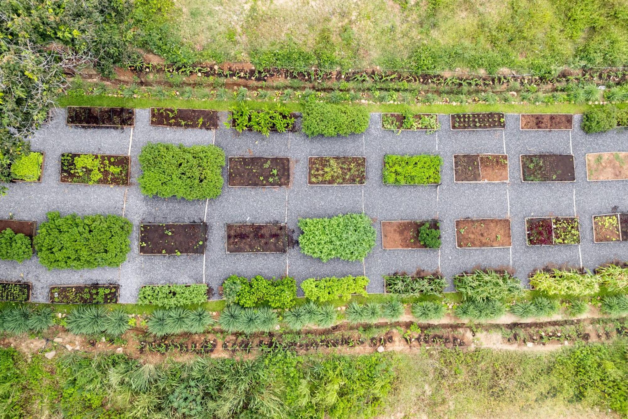 Wild Cottages Elephant Sanctuary Resort 苏梅岛 外观 照片