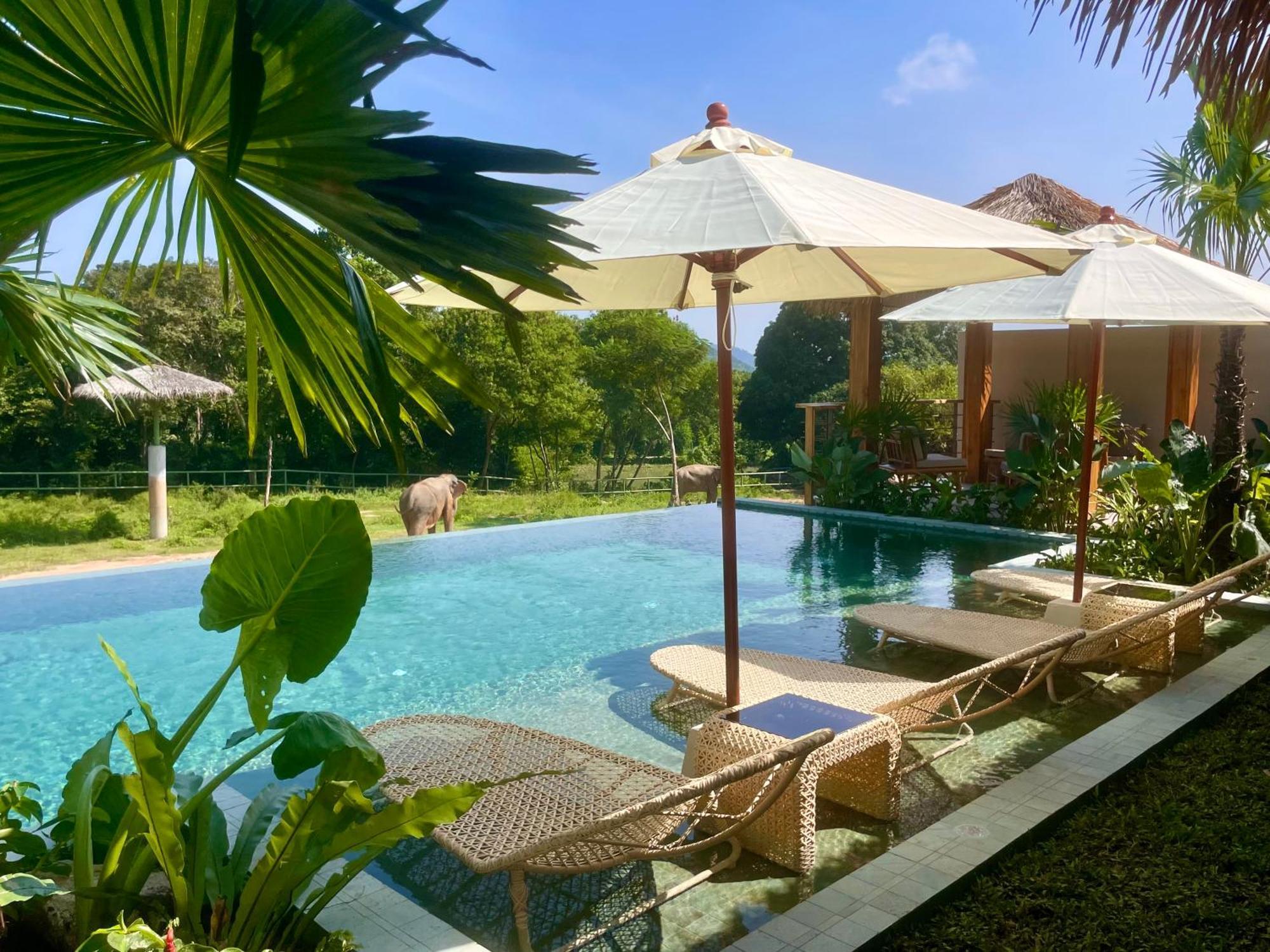Wild Cottages Elephant Sanctuary Resort 苏梅岛 外观 照片