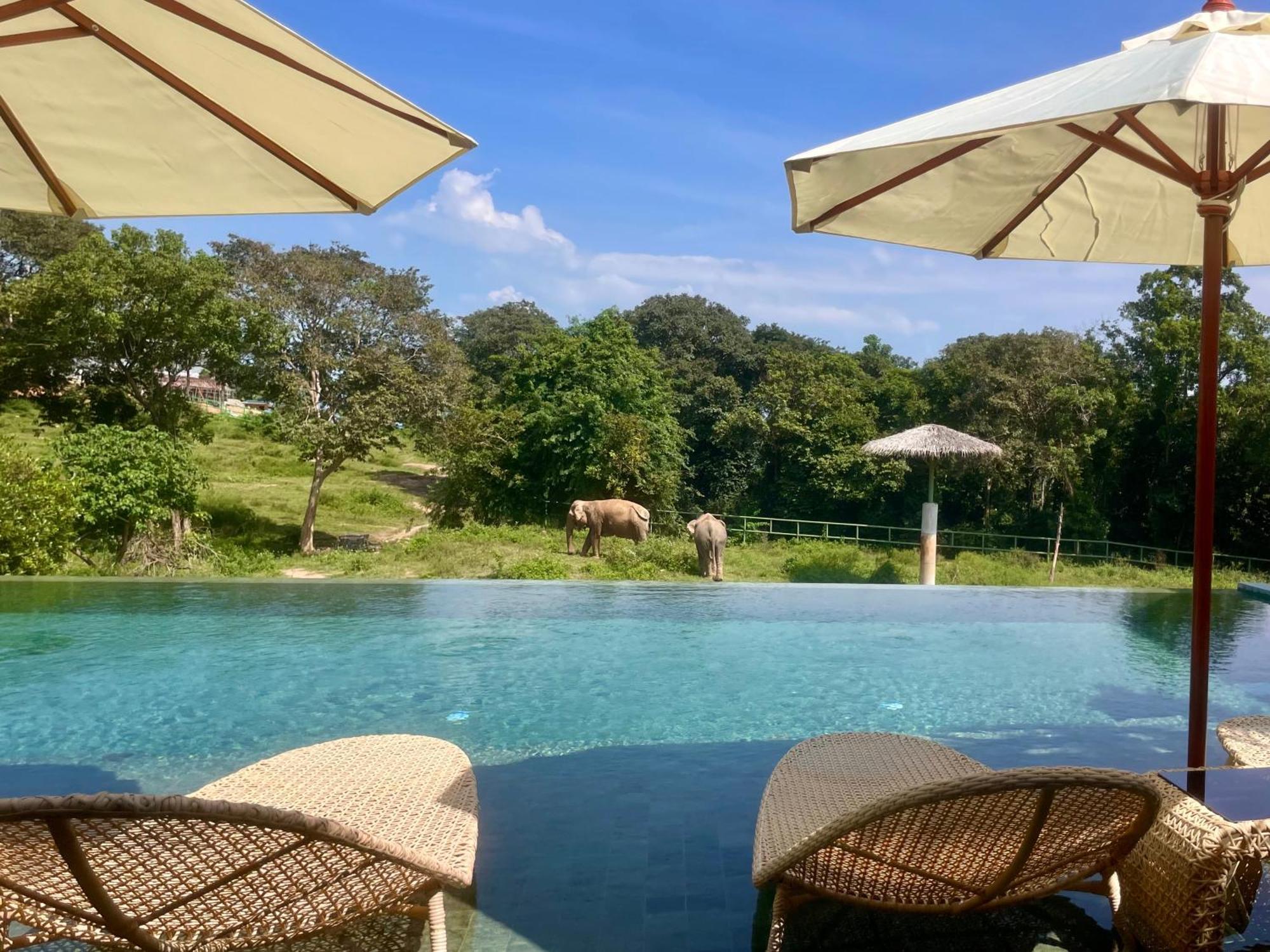 Wild Cottages Elephant Sanctuary Resort 苏梅岛 外观 照片