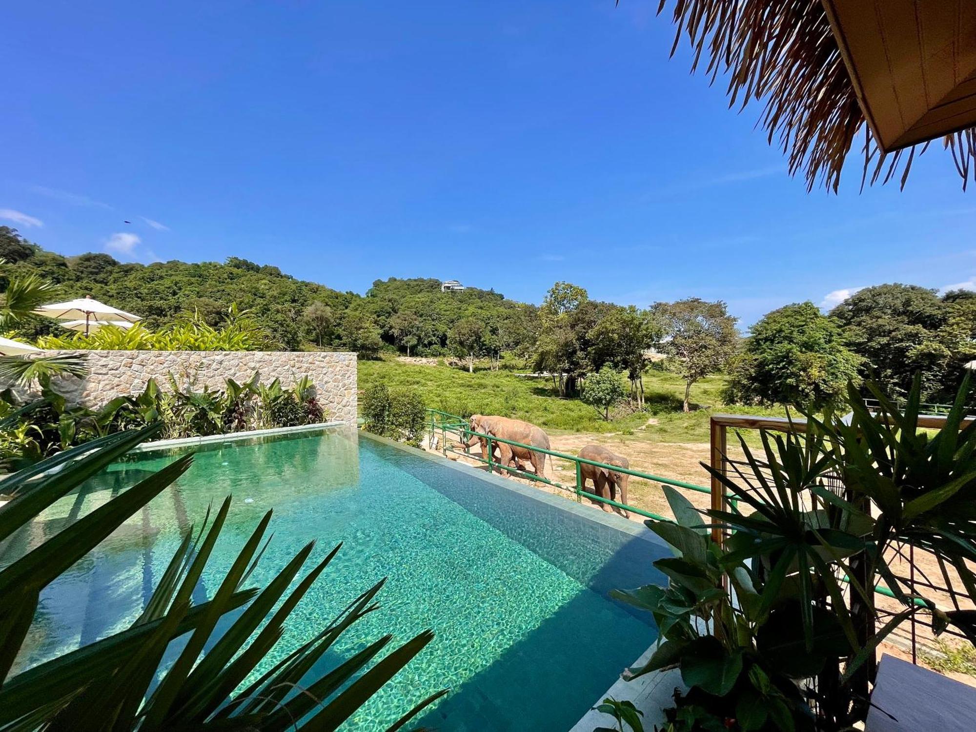 Wild Cottages Elephant Sanctuary Resort 苏梅岛 外观 照片