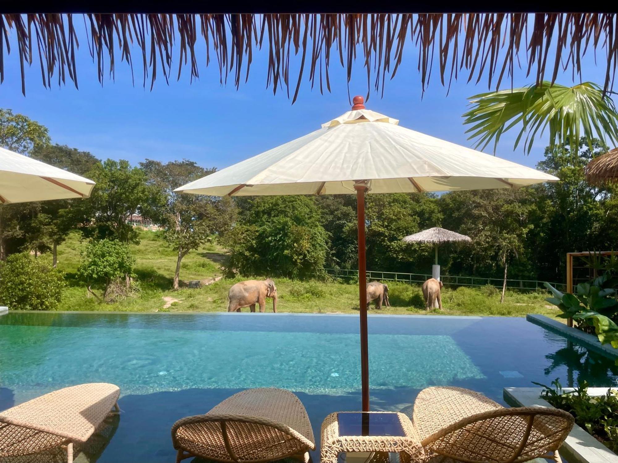 Wild Cottages Elephant Sanctuary Resort 苏梅岛 外观 照片